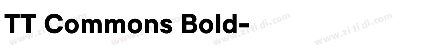 TT Commons Bold字体转换